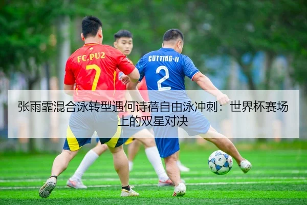 张雨霏混合泳转型遇何诗蓓自由泳冲刺：世界杯赛场上的双星对决